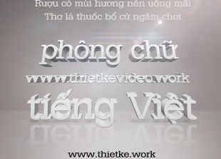 pho_ng_chu_vie_t_ho_a_3D_dhbk_Boton_ba_ng_ma_unicode_su_u_ta_m_www_thietke_dot_work_33_685289977_paris